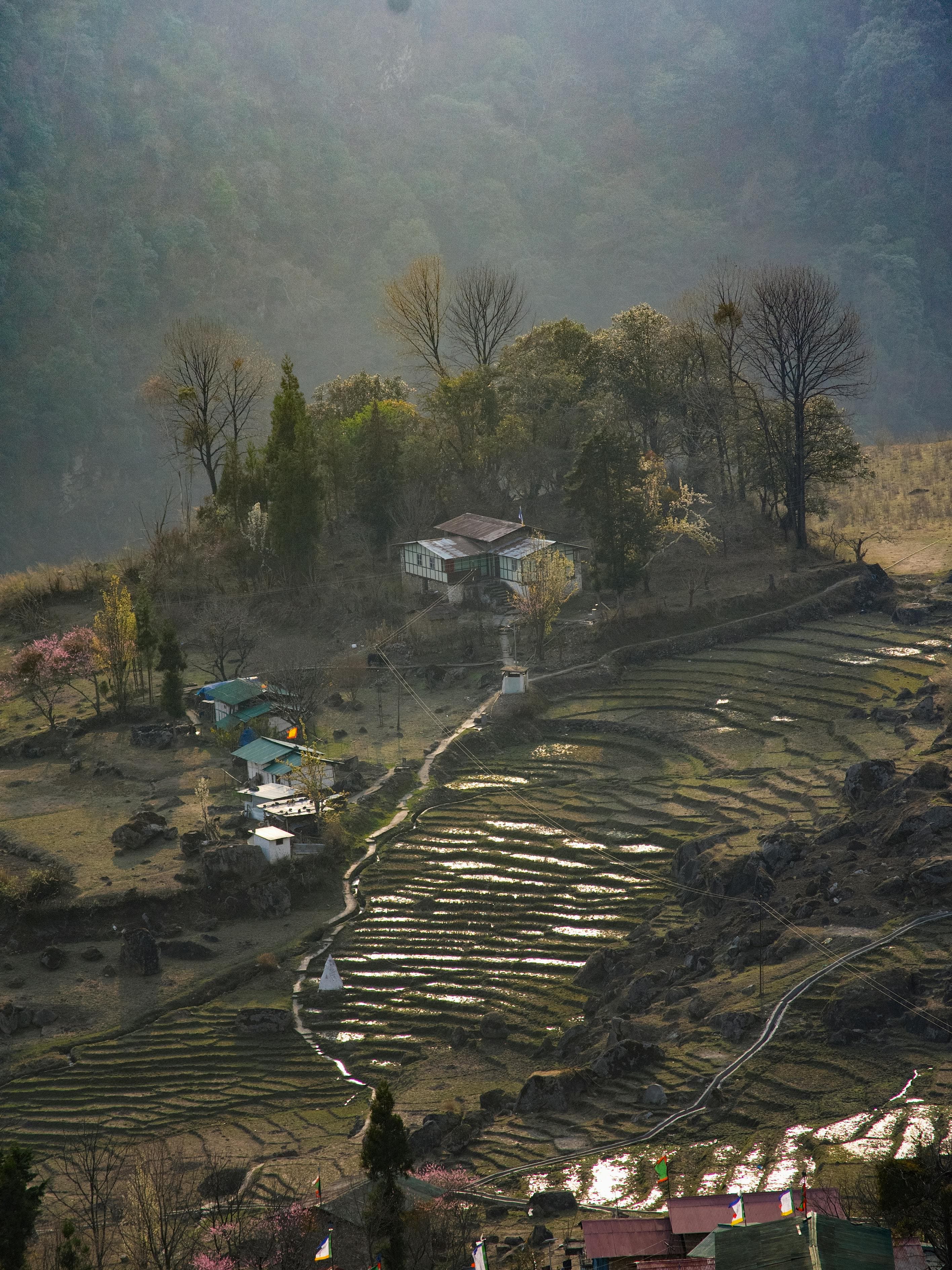 Arunachal Pradesh