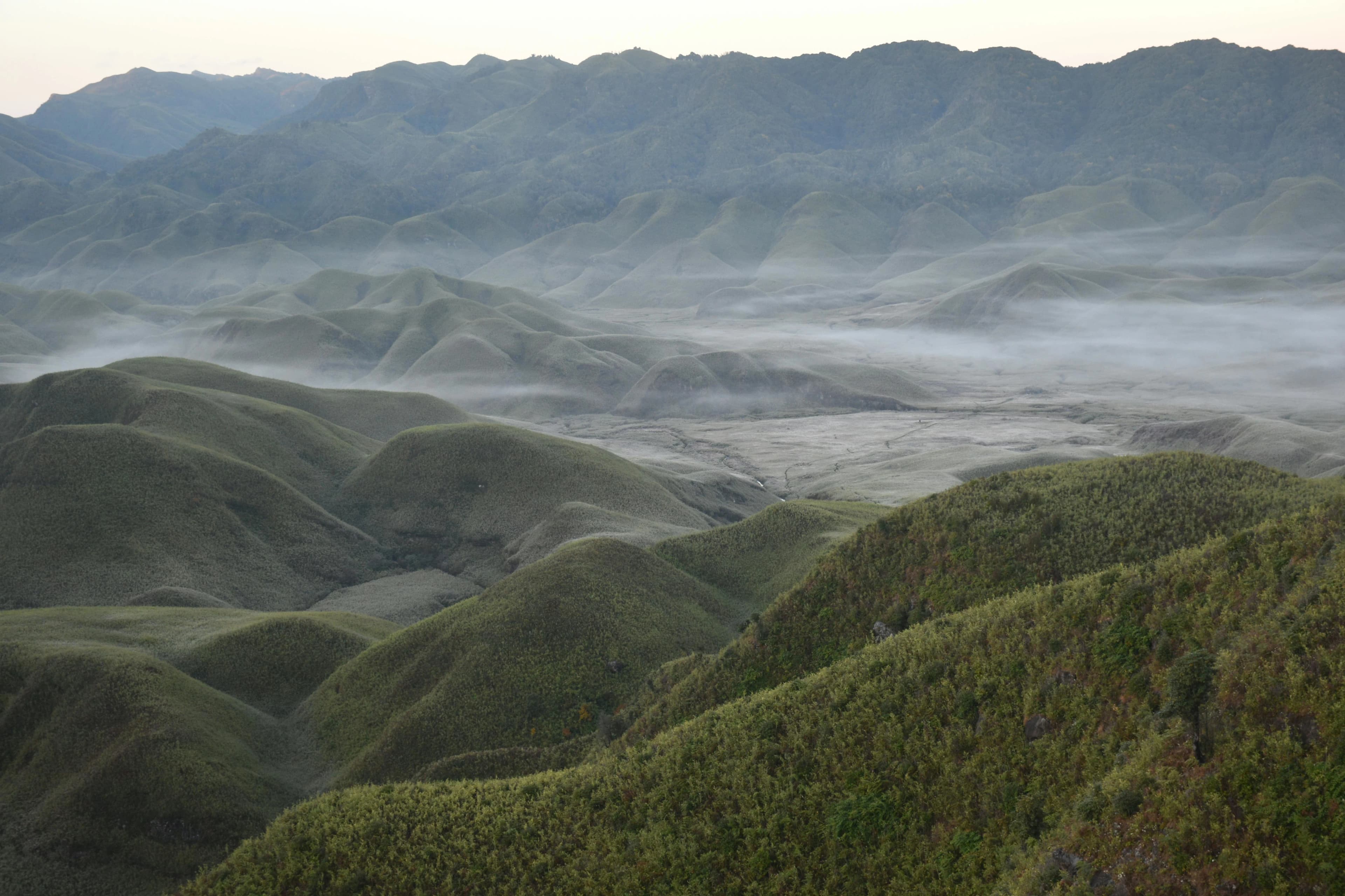 Nagaland